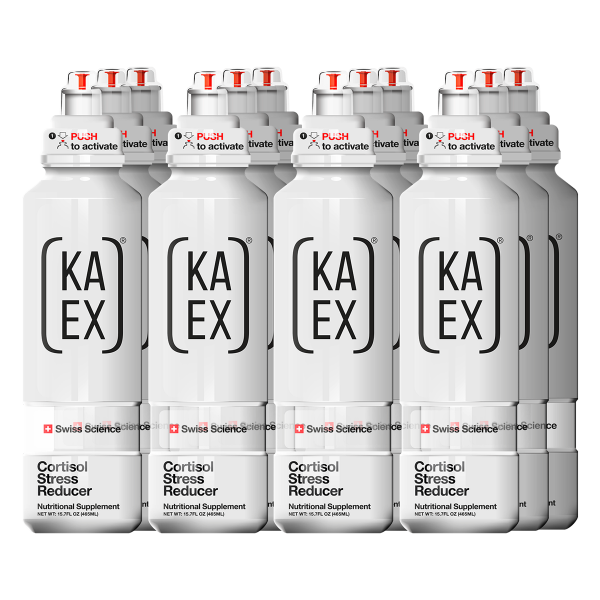 KA-EX GO