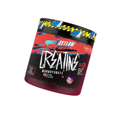 SPORT ASYLUM FLAVOURED CREATINE 250G